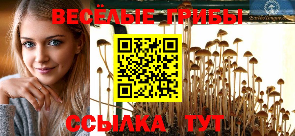 Надым  Галлюциногенные грибы GOLDEN TEACHER  Вход с VPN  Галлюциногенные грибы Cubensis 